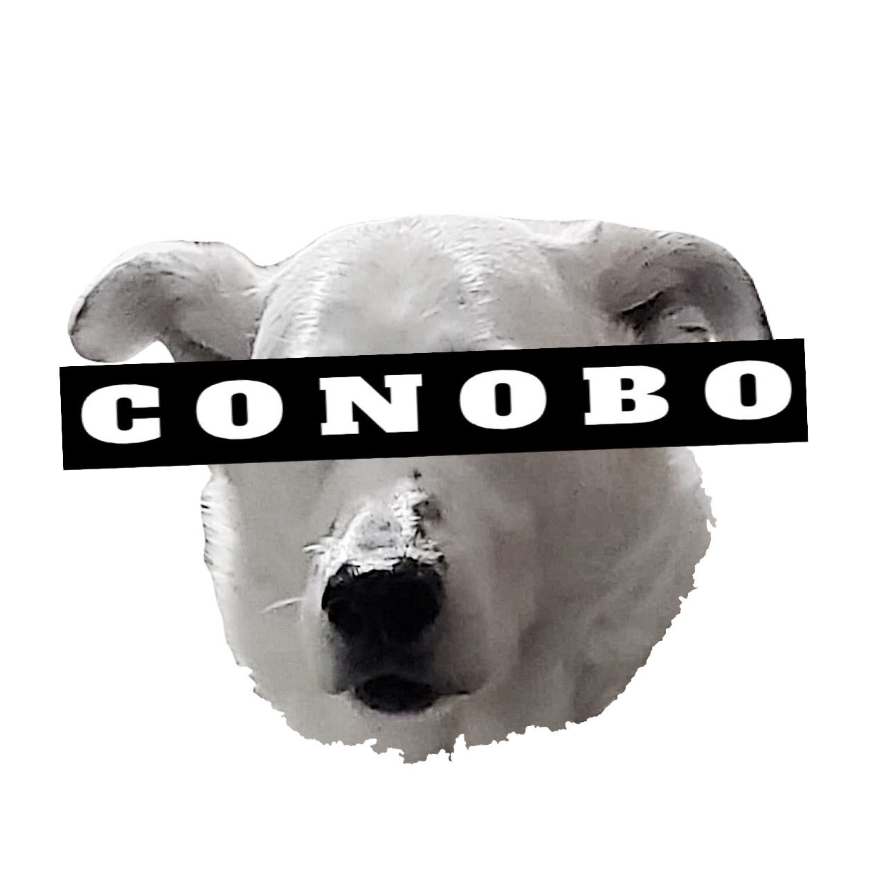 Conobo